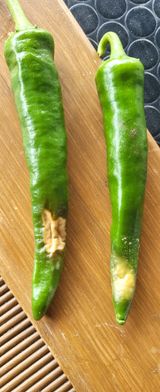 팜모닝 고추·병해충상담 게시글 이미지