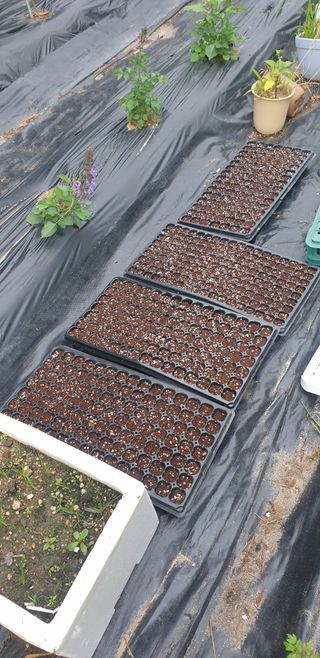 박선화님의 자유주제 · 자유게시판 작성글 사진