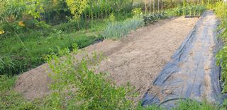 박선화님의 자유주제 · 자유게시판 작성글 사진