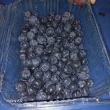 팜모닝 블루베리·영농일지 게시글 이미지