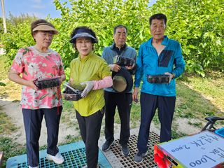 신이내린오디 정가네님의 감 · 영농일지 작성글 사진