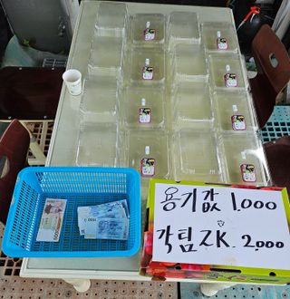 신이내린오디 정가네님의 감 · 영농일지 작성글 사진