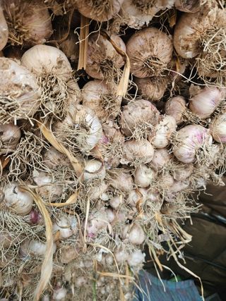 법선님의 자유주제 · 자유게시판 작성글 사진