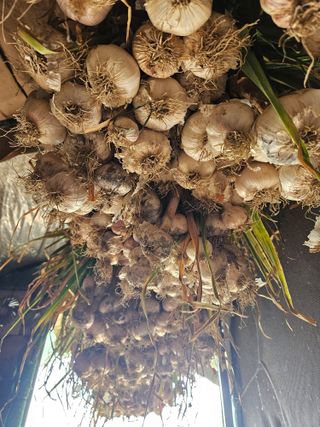 법선님의 자유주제 · 자유게시판 작성글 사진