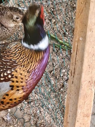 법선님의 자유주제 · 자유게시판 작성글 사진