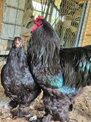 법선님의 자유주제 · 자유게시판 작성글 사진