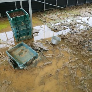 박운규.털보님의 기타작물 · 영농일지 작성글 사진