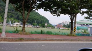 글릭클리히님의 양파 · 영농일지 작성글 사진