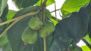 강원송이님의 자유주제 · 자유게시판 작성글 사진