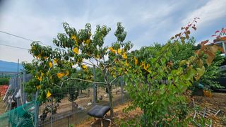 강원송이님의 자유주제 · 자유게시판 작성글 사진