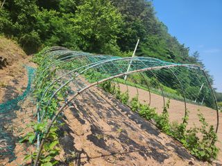 류호연님의 기타작물 · 영농일지 작성글 사진