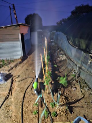 양간다리님의 고추 · 영농일지 작성글 사진