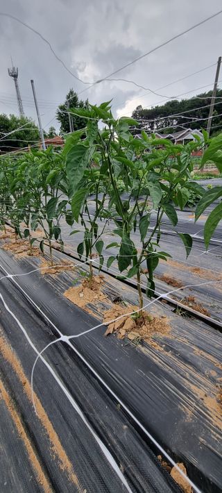 이상직님의 자유주제 · 자유게시판 작성글 사진