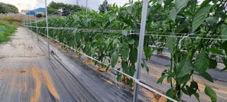 이상직님의 자유주제 · 자유게시판 작성글 사진