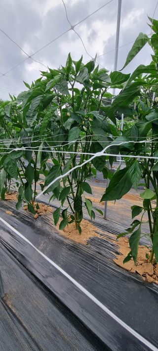 이상직님의 자유주제 · 자유게시판 작성글 사진