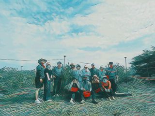 김성현님의 블루베리 · 영농일지 작성글 사진