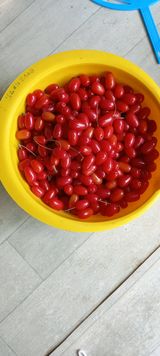 팜모닝 기타작물·영농일지 게시글 이미지