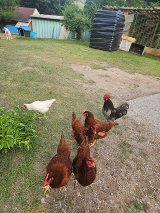 김우정 님의 🎤어떤 노래 좋아하세요? · 참여글 작성글 사진