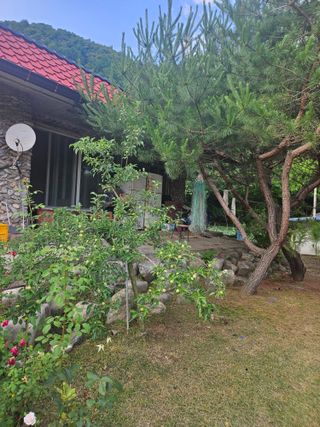 김우정 님의 🎤어떤 노래 좋아하세요? · 참여글 작성글 사진