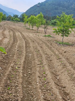 김우정 님의 🎤어떤 노래 좋아하세요? · 참여글 작성글 사진
