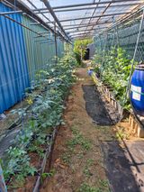 팜모닝 자유주제·자유게시판 게시글 이미지