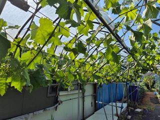 화성시정남면신리님의 자유주제 · 자유게시판 작성글 사진