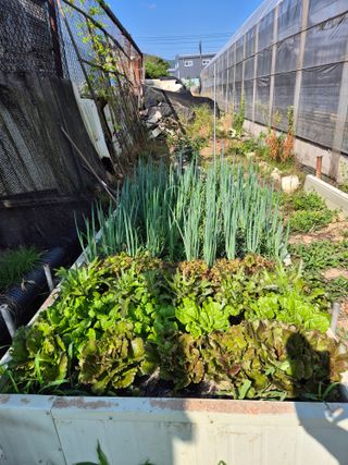 화성시정남면신리님의 자유주제 · 자유게시판 작성글 사진