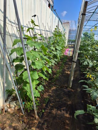 화성시정남면신리님의 자유주제 · 자유게시판 작성글 사진