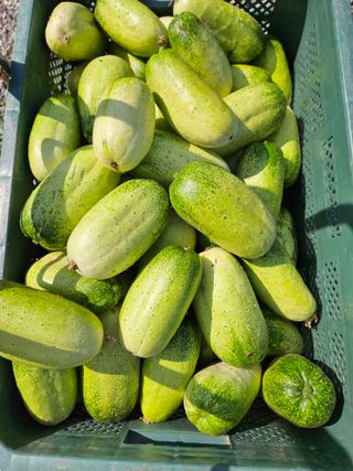 남옥선님의 자유주제 · 자유게시판 작성글 사진