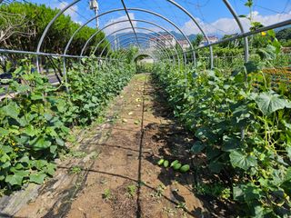 남옥선님의 자유주제 · 자유게시판 작성글 사진