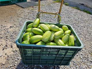 남옥선님의 자유주제 · 자유게시판 작성글 사진