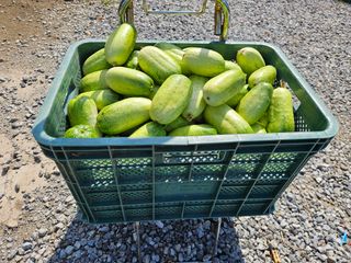 남옥선님의 자유주제 · 자유게시판 작성글 사진