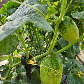 남옥선님의 자유주제 · 자유게시판 작성글 사진