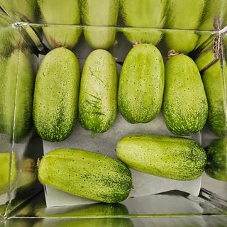 남옥선님의 자유주제 · 자유게시판 작성글 사진