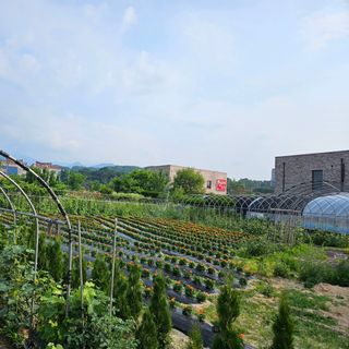 남옥선님의 자유주제 · 자유게시판 작성글 사진