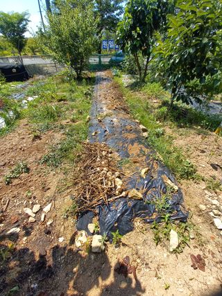 김두리님의 자유주제 · 자유게시판 작성글 사진