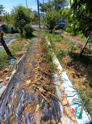 김두리님의 자유주제 · 자유게시판 작성글 사진