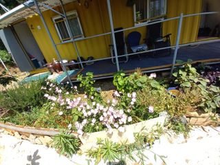 김두리님의 자유주제 · 자유게시판 작성글 사진