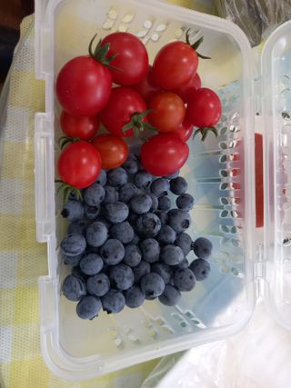 김두리님의 자유주제 · 자유게시판 작성글 사진