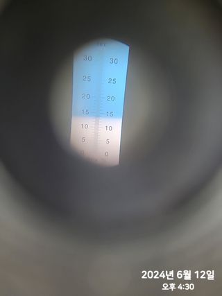 동우농장(김대욱)님의 복숭아 · 자유게시판 작성글 사진