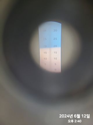 동우농장(김대욱)님의 복숭아 · 자유게시판 작성글 사진