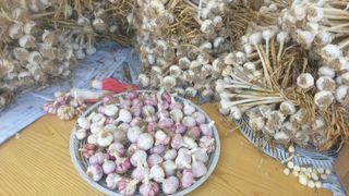 동읍초보임화영님의 🎤어떤 노래 좋아하세요? · 참여글 작성글 사진