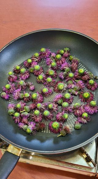 풀잎사랑님의 자유주제 · 자유게시판 작성글 사진