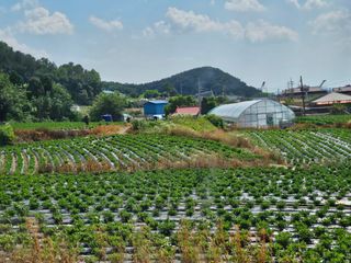 최재혁님의 자유주제 · 자유게시판 작성글 사진