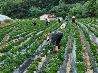최재혁님의 자유주제 · 자유게시판 작성글 사진