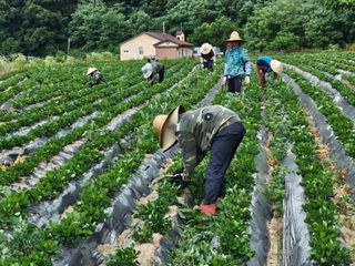 최재혁님의 자유주제 · 자유게시판 작성글 사진