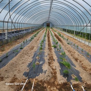 농사을지으면서기뿐맘님의 🎤어떤 노래 좋아하세요? · 참여글 작성글 사진