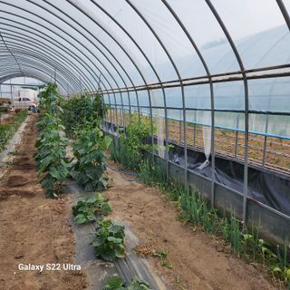 농사을지으면서기뿐맘님의 🎤어떤 노래 좋아하세요? · 참여글 작성글 사진