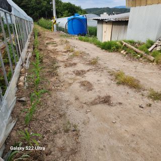 농사을지으면서기뿐맘님의 🎤어떤 노래 좋아하세요? · 참여글 작성글 사진