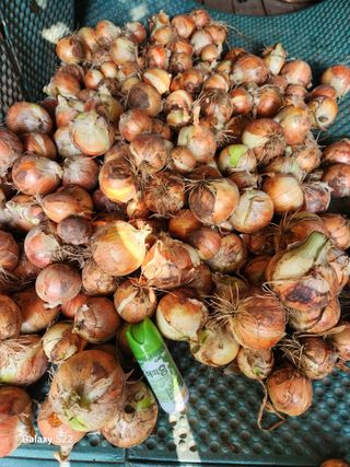 kis님의 자유주제 · 자유게시판 작성글 사진